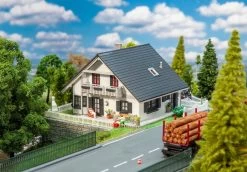 Faller Saniertes Einfamilienhaus